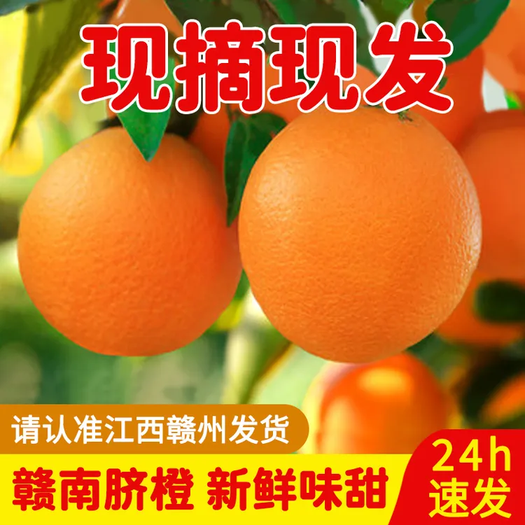 【礼盒装】赣南脐橙送礼专属优选