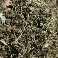 广西正宗野生海金沙草