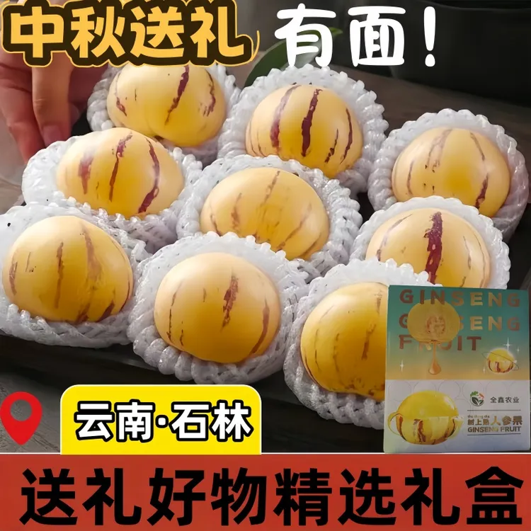 【精美礼盒装】云南石林人参果金黄圆果细腻多汁送礼好物热卖水果