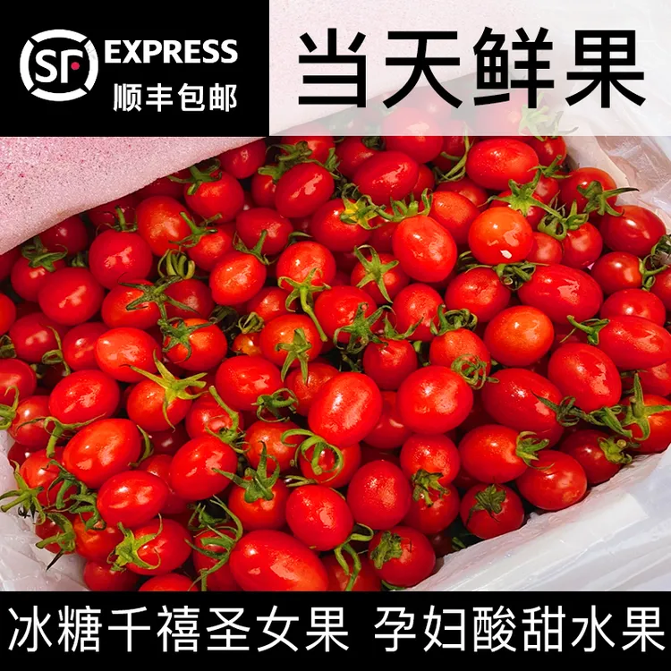 【顺丰包邮】电白千禧圣女果小番茄孕妇酸甜水果 当天鲜果当天发