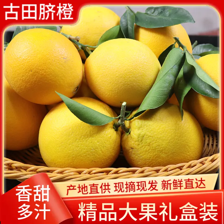 正宗福建脐橙水果当季现摘现发新鲜橙子古田5斤10斤大果礼盒精品