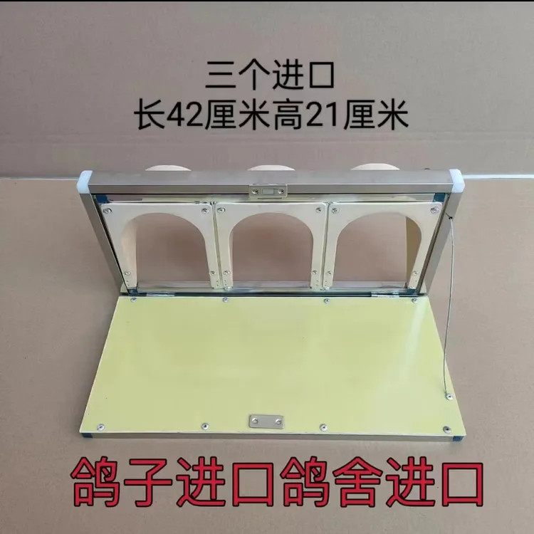 鸽子不锈钢进出口