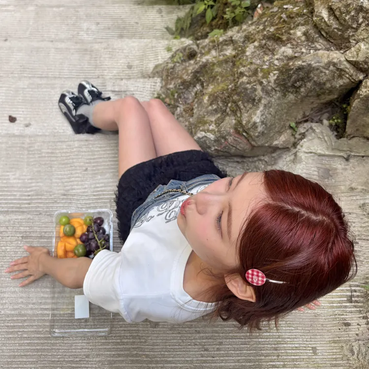 韩版ins手工定制款格纹衣扣一字卡百搭韩系发卡