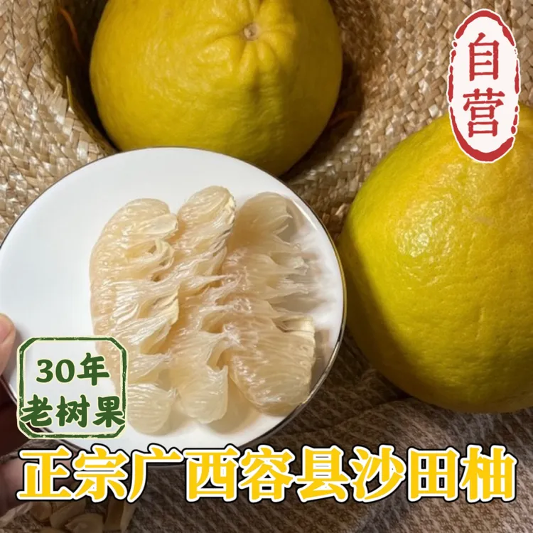 【自营】正宗容县30年老树沙田柚果香浓郁·果农直销