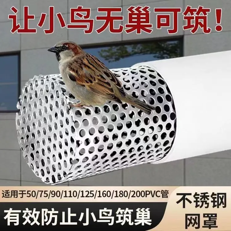 锥形不锈钢PVC排烟排气下水防鸟罩卫生间厨房304过滤网防护网管接