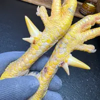文玩鸡爪骨手把件（一对双蹬 处理好十天左右发货）