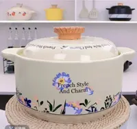 4.5L法式轻奢风情砂锅炖锅煮粥煲汤炖排骨耐高温锂瓷煲明火燃气