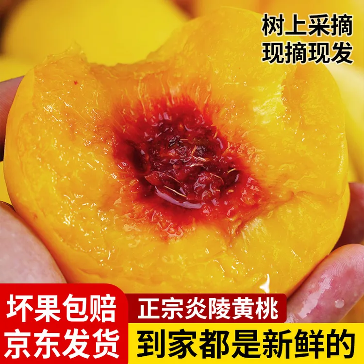 【匠乡妹专属】正宗炎陵黄桃锦绣黄桃精品高山黄桃香脆甜现摘现发