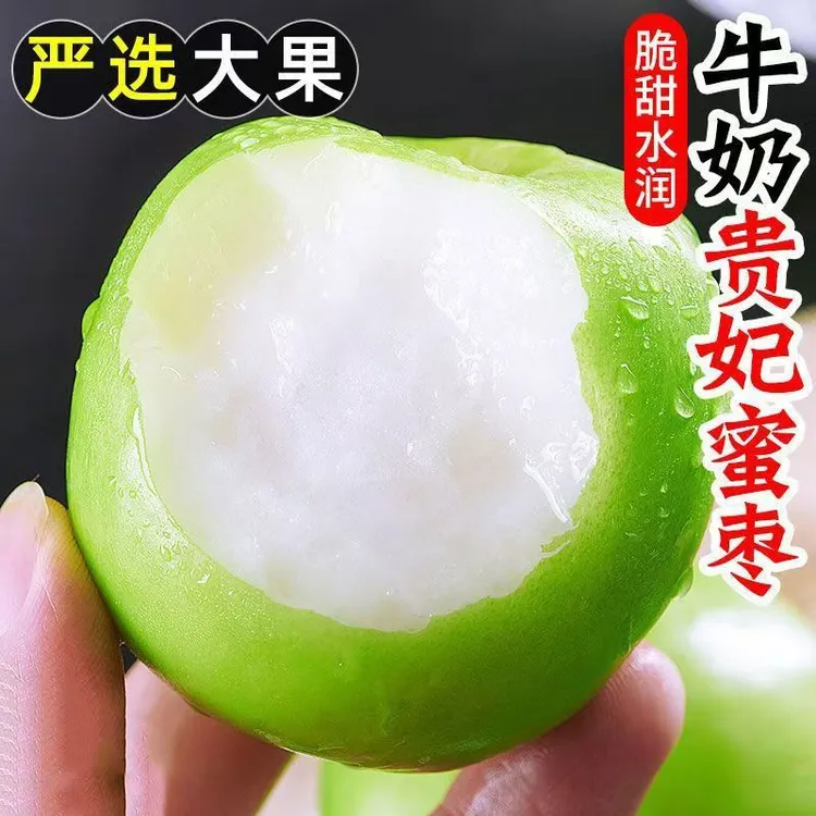 正宗牛奶大青枣果园现摘现发应季水果脆甜多汁好吃不贵整箱包邮