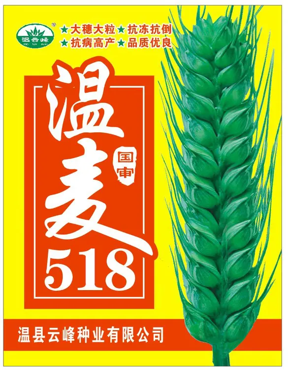 温麦518高产抗病抗倒抗冻➕磷酸二氢钾叶面肥