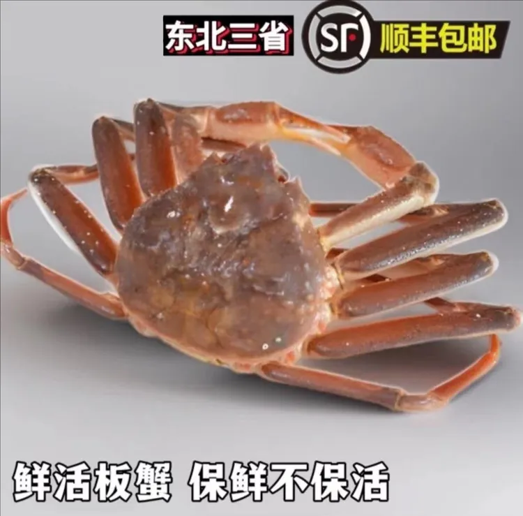 俄罗斯松叶蟹（现场称重为准，保鲜不包活）