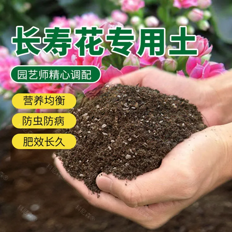 长寿花专用土花土营养土栽培土种养长寿花的土壤泥土家用盆栽花肥