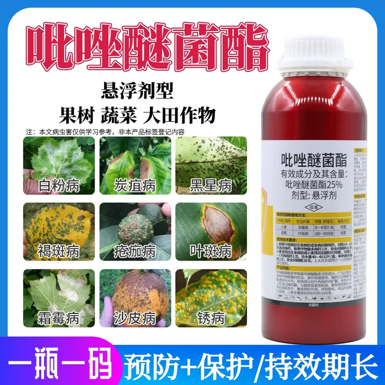 吡唑醚菌酯杀菌剂蔬菜果树专用内吸性农药叶斑病白粉病炭疽病用药