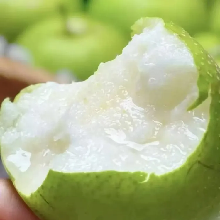 阳雪季绿色食品当季新鲜蜜梨梨子翠冠梨脆甜多汁农场直销现摘现发