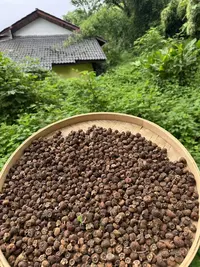 大山野 刺梨干 无熏硫自然晒干 可泡水泡酒