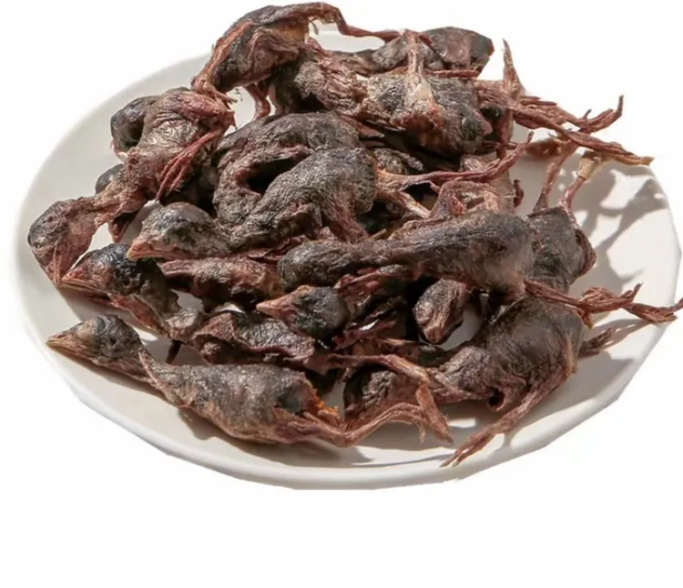 冻干鹌鹑宠物狗狗猫咪零食营养补钙增肥发腮磨牙洁齿棒生骨肉猫粮