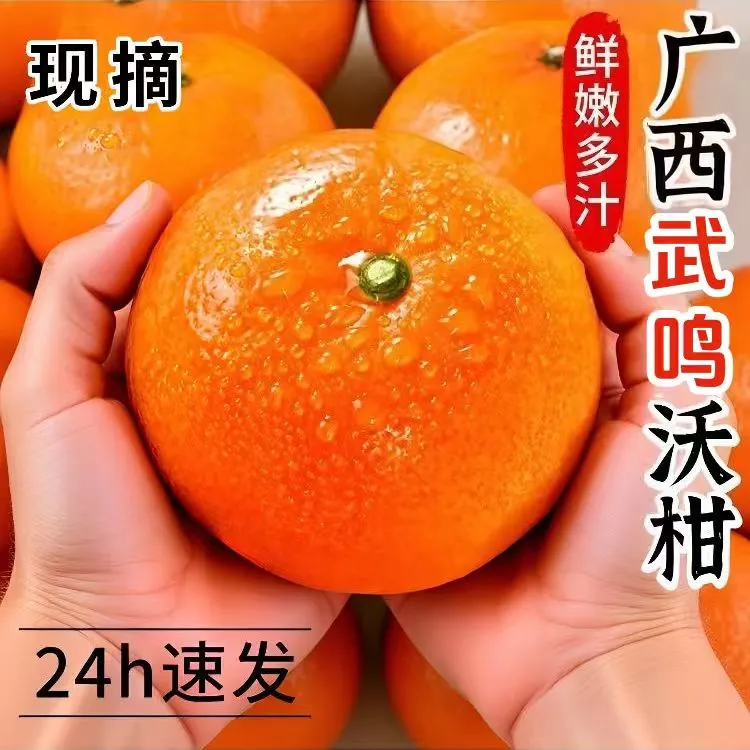 正宗广西武鸣沃柑新鲜当季水果橘子沙糖橘蜜桔大果皮薄多汁