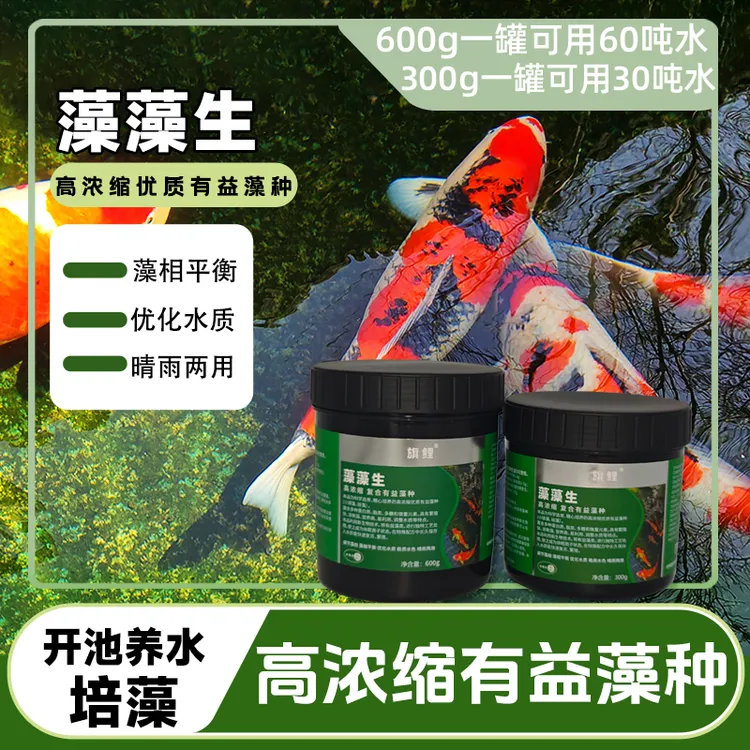 旗鲤藻藻生高浓缩藻类培养鱼缸鱼池调节水质有益藻净化【新奇宠物】