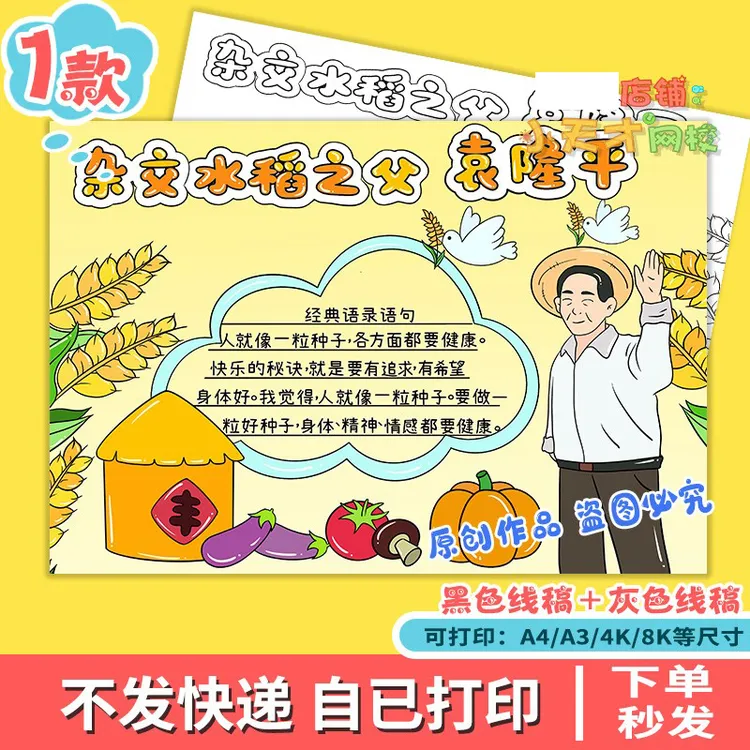 杂交水稻之父袁隆平手抄报模板科学家中国杰出人物儿童画D532