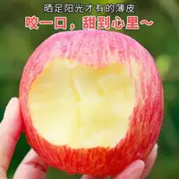 【现摘红富士】25年正宗红富士苹果脆甜多汁现摘现发G