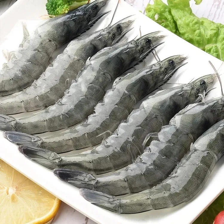 3040大号海虾15 - 18cm左右活虾速冻新鲜海洋大虾盐田虾