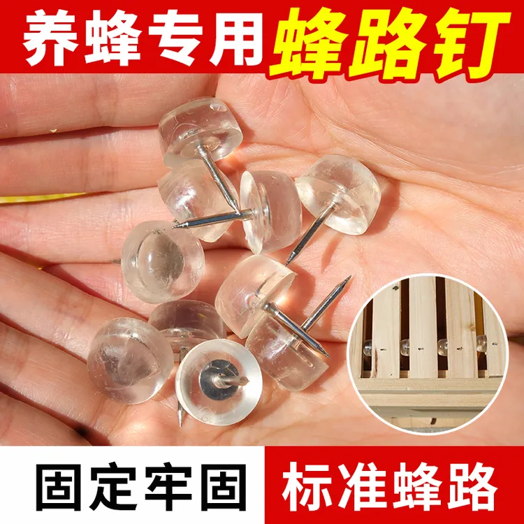 新款蜂路钉巢框固定器留间距防撞转场缓冲养蜂工具全套巢脾固定器