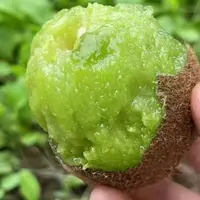 【赵叔严选】翠香猕猴桃 当即新鲜水果 3.5-4斤净果净重山西省