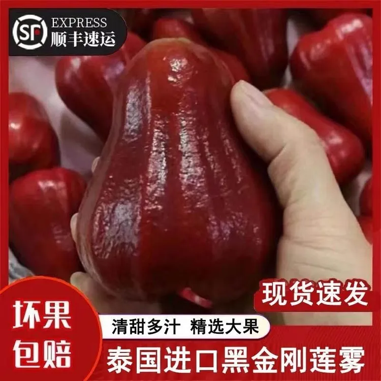 【顺丰】泰国黑金刚莲雾5斤热带莲雾果当季新鲜水果仙女果1斤-5斤