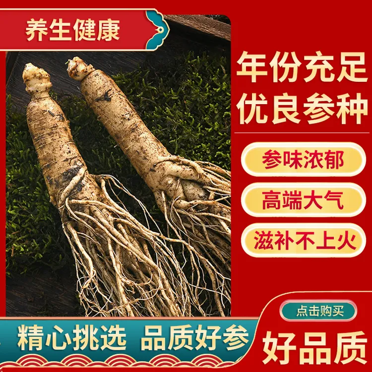 长白山人参【单支100克左右】原产地发货泡酒煮粥营养高山人参