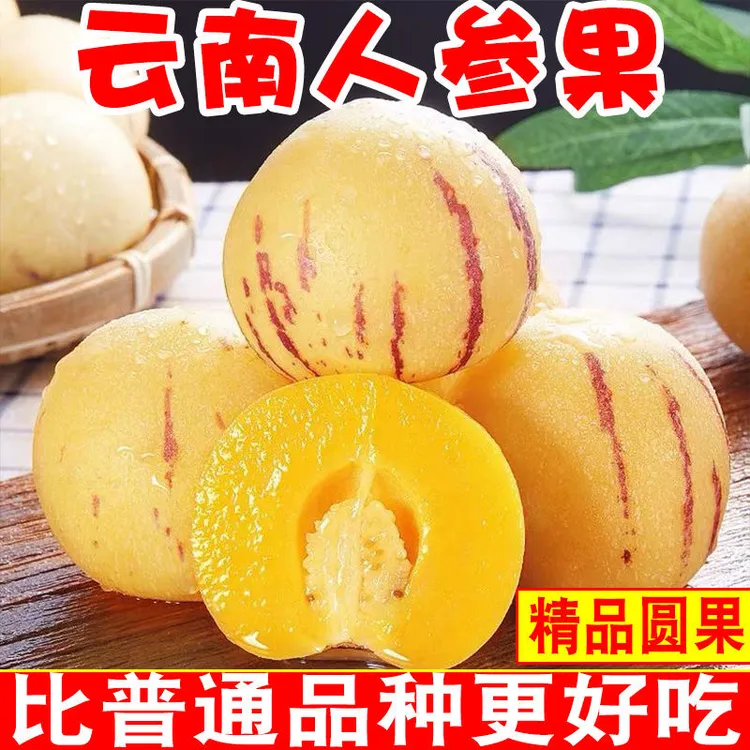 云南新鲜人参果树上熟新鲜水果香甜爆汁果香浓郁应季低糖水果