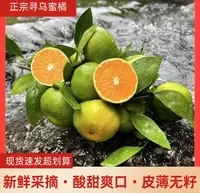 【新店亏本冲量】江西寻乌青皮蜜橘青皮桔子酸甜当季孕妇新鲜水果