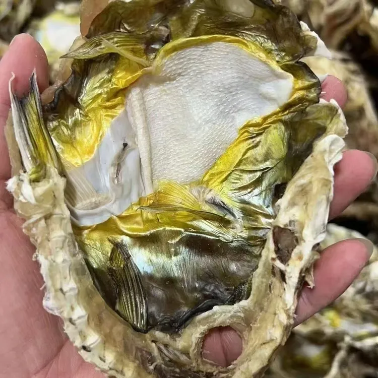 汕尾特产淡干乖脯乖干海豚鱼干食用大河豚鱼鸡泡鱼海鲜干货纯天然