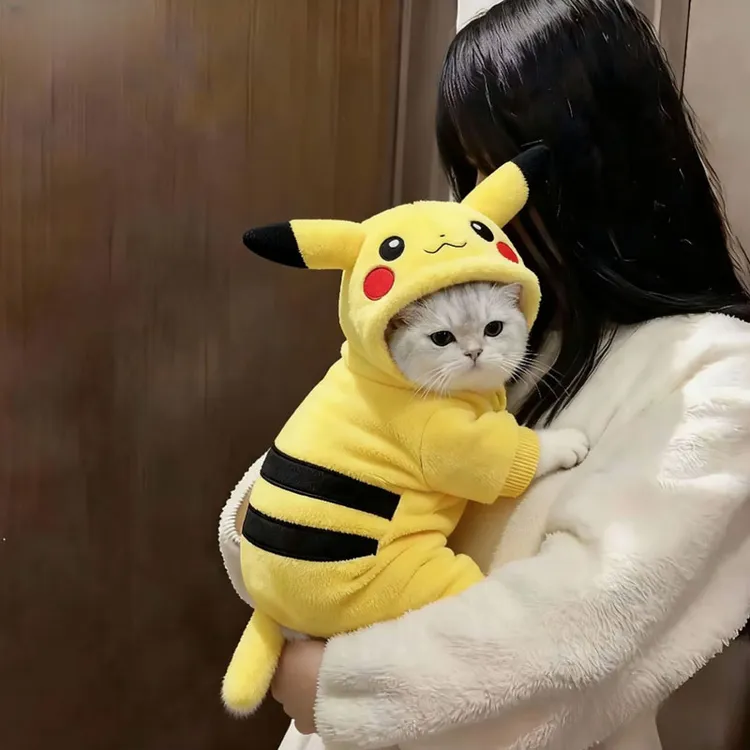 小猫咪衣服可爱皮卡丘变身装布偶银渐英保暖宠物幼犬秋冬款四脚衣