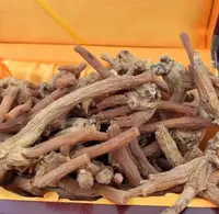 【主播精选】山货龙-抓-参 2