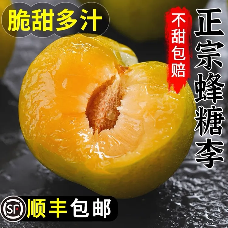 【顺丰包邮】高山多汁蜂糖李子现摘现发新鲜水果脱骨老人小孩孕妈妈