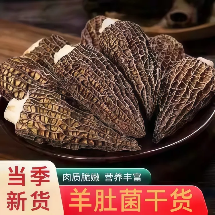 【羊肚菌】深山干货羊肚菌菌菇菌类干货  炖汤煲汤蒸蛋