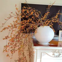 【进口南蛇藤】秋色高端小众南蛇藤鲜切枝禅意系列基地直发