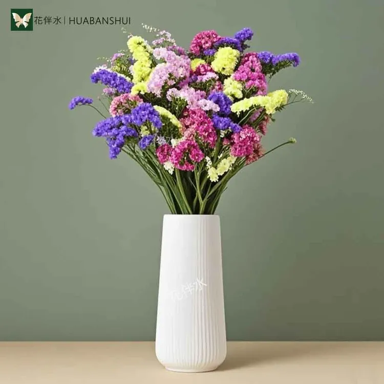 【花伴水】新人福利带盆勿忘我半干花真花鲜艳客厅摆件无需加水drty