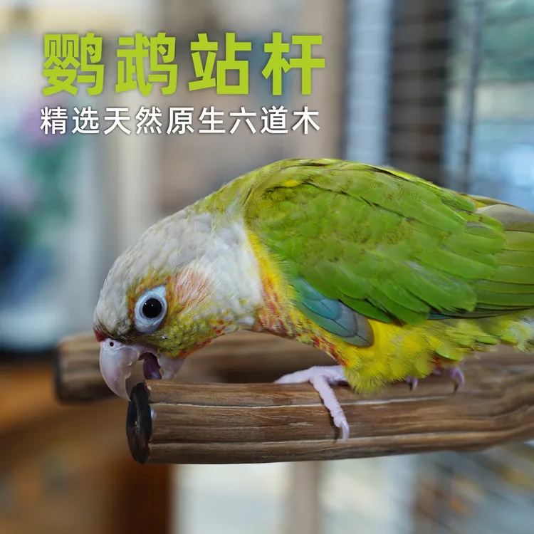 天然六道木鹦鹉站杆实木站架站棒小太阳八哥栖息棒鸟磨嘴磨爪用品