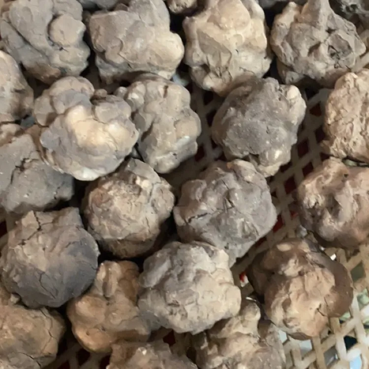 池池家新品裹酱奇趣蛋烟熏土