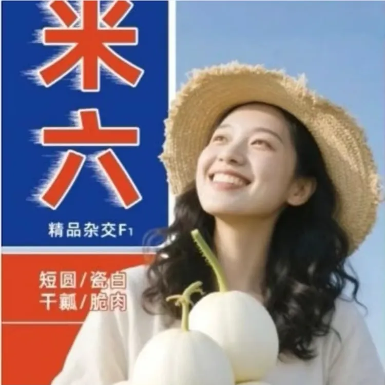 < 米六 >2000粒/袋 /瓷白甜香瓜种子 / 超早熟.超甜脆
