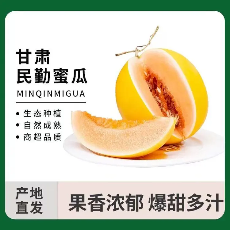 甘肃民勤沙漠蜜瓜新鲜当季水果香甜多汁产地直发