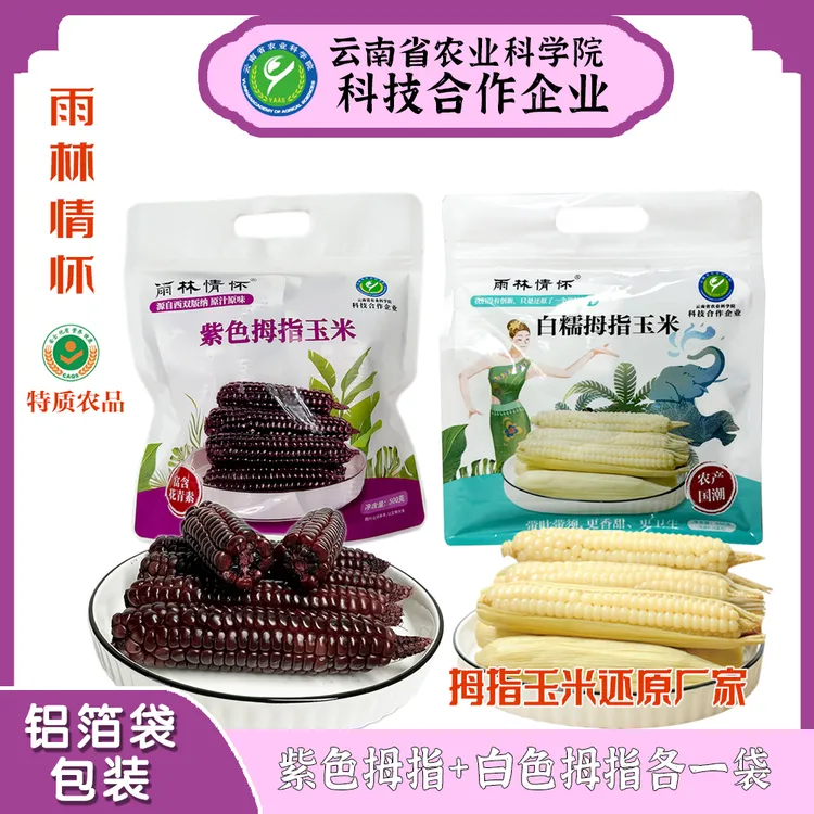 紫糯黑拇指玉米棒西双版纳新鲜粗粮非即食早餐黑糯玉米