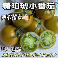 【顺丰/京东包邮】【精品】山东糖珀琥樱桃现摘小番茄1-5斤
