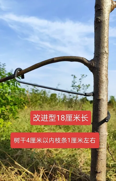 改进18厘米型果树热镀锌钢丝拉枝器定型器压枝器适用多种果树拉枝