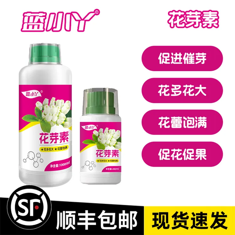 蓝小丫花芽素花芽增多促花坐果打破生物花芽分化阳台蓝莓植物肥料