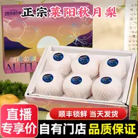 【礼盒装】正宗山东莱阳秋月梨子礼盒装当季新鲜水果整箱顺丰包邮山东省