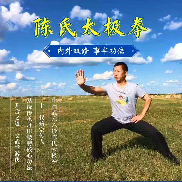陈氏太极拳“方圆相生”教程