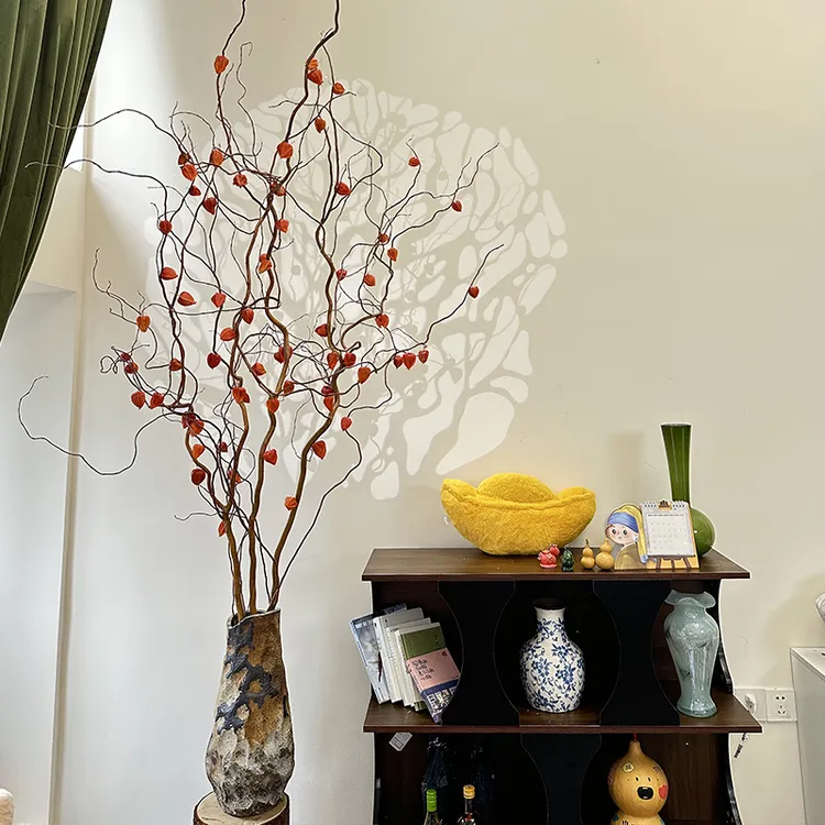 金灯树 | 金龙柳酸浆果鲜枝水培植室内大型好养绿植花卉鲜切枝