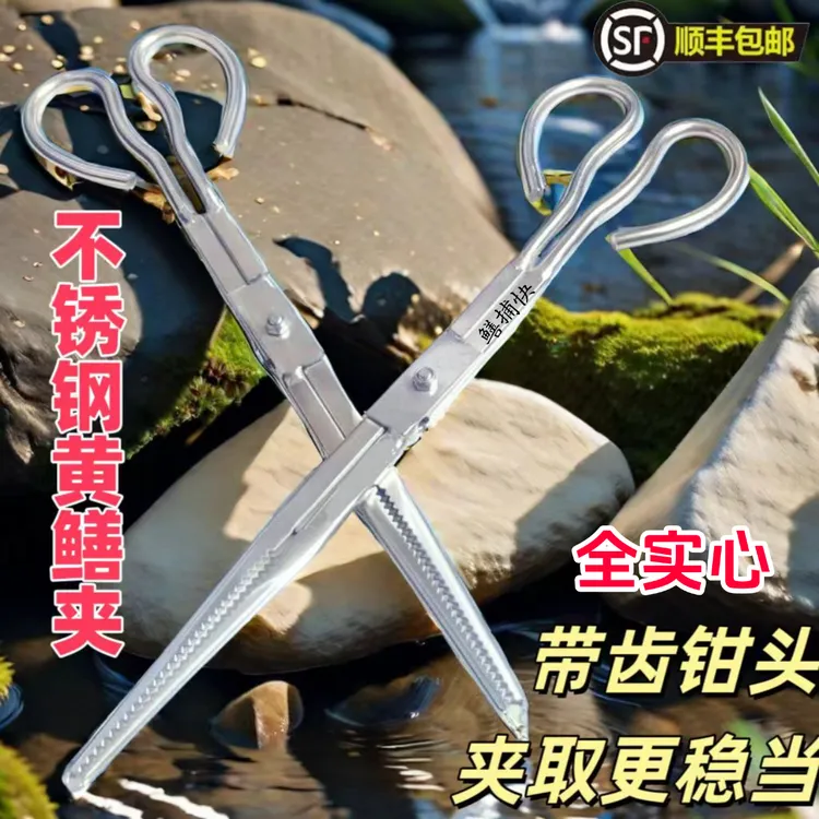 黄鳝夹子泥鳅夹实心不锈钢防错位鳝鱼夹黄鳝夹螃蟹夹赶海夹子鱼夹